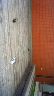 �����V�C�ɂȂ���