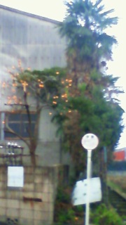 �n���E�B���p�[�`�[