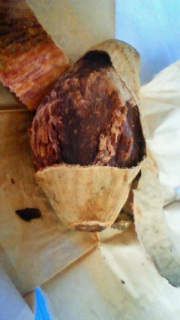 �ΏĂ�����