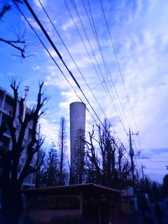 ��̓��Ɠ~�̋�