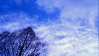 �܂�ŊG�ɂ������l��