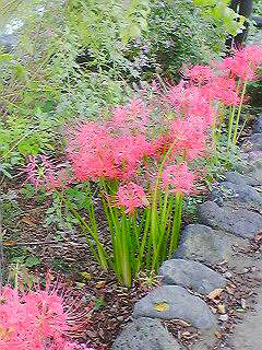 �D����̕ӂ�