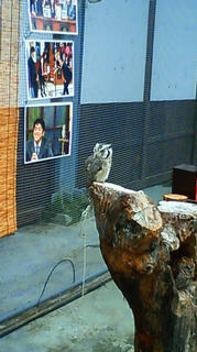 ���ꂪ�\��