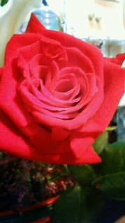 �ЂƂ�ɂ��ė~��������