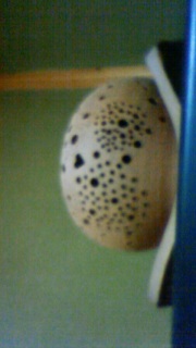 �Ȃ񂩂�����Ƙ@�R���ۂ��˂���