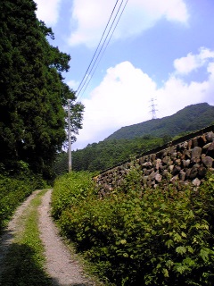 ( �K�́K)o�c�K�g�g��!!�g�g��!!