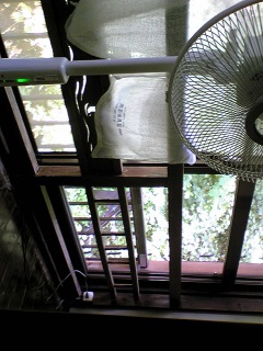 �����ɂ������܂�