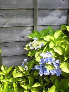 �o�X��̑ҍ����ɂ�