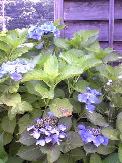 ���z�Ԃ��܂��炢�Ă��񂾂�!!!