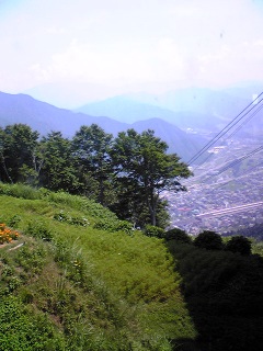 ���������!!