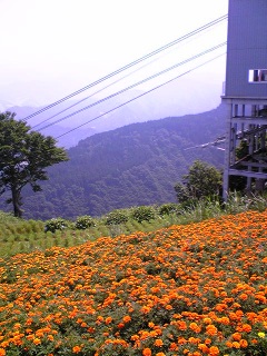 ��������!!!!!