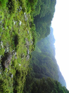 �͂�߂��[�c�����c�c�@�|�́[�@�c�@�k����[���[�@�c�c�����c�c