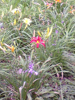 �ӂ������c