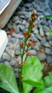 �n�k���A�A�A�A�A�A�A!!!!!!!!