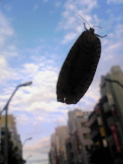 ��т����̂�