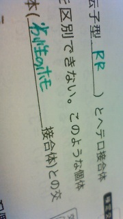 �ςȂƂ��ŋ�؂�₪����