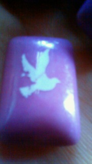 ���̑O���߂Ēm����