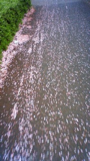 ������݂�