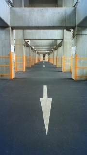 �V�����g���[